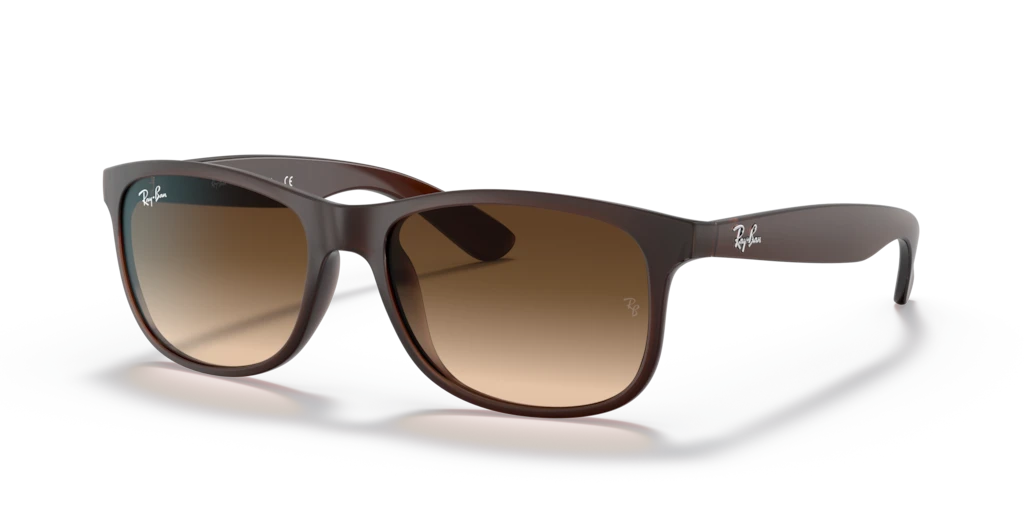 Ray Ban RB4202 607313 55 Güneş Gözlükleri