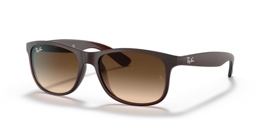 Ray Ban RB4202 607313 55 Güneş Gözlükleri
