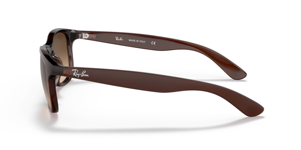 Ray Ban RB4202 607313 55 Güneş Gözlükleri