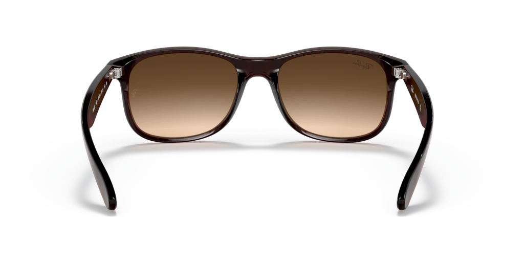 Ray Ban RB4202 607313 55 Güneş Gözlükleri