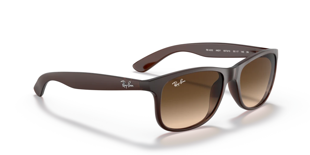 Ray Ban RB4202 607313 55 Güneş Gözlükleri