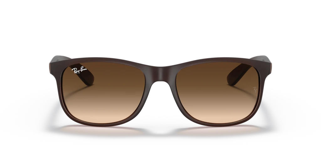 Ray Ban RB4202 607313 55 Güneş Gözlükleri