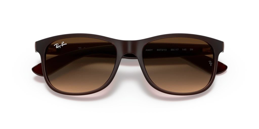 Ray Ban RB4202 607313 55 Güneş Gözlükleri