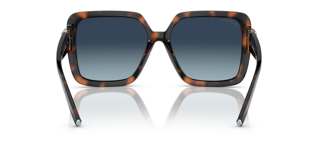 Tiffany TF4206U 80154U 58 Güneş Gözlükleri