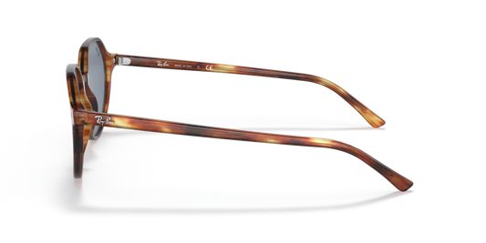 Ray Ban RB2195 954/62 Güneş Gözlükleri