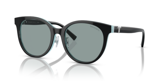 Tiffany TF4209D 8055/1 54 Güneş Gözlükleri