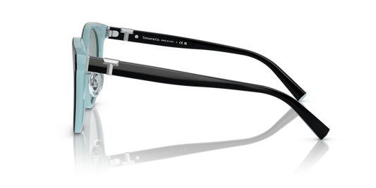 Tiffany TF4209D 8055/1 54 Güneş Gözlükleri