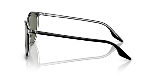Ray-Ban RB2204 919/58 - Güneş Gözlükleri