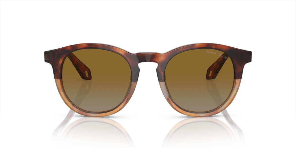 Giorgio Armani AR8192 6034B2 - 50 - Güneş Gözlükleri