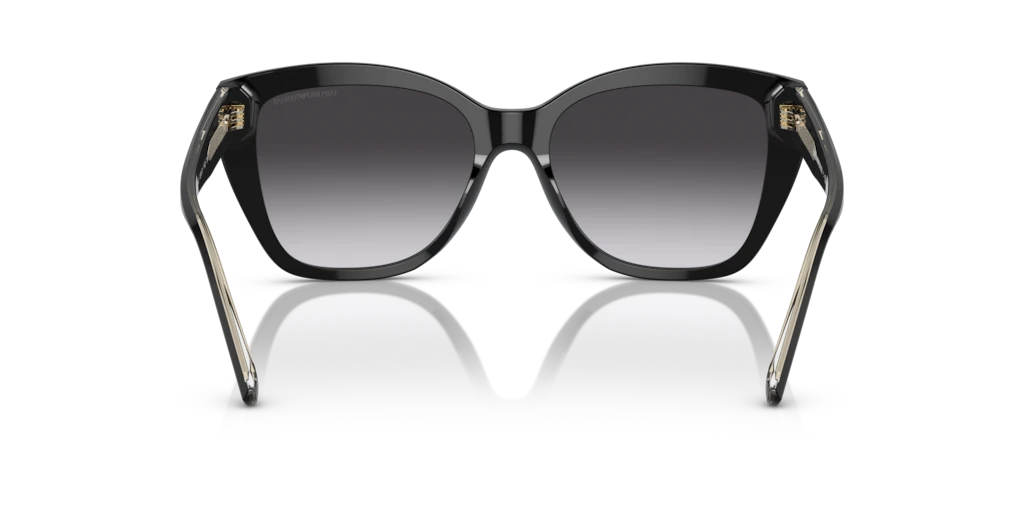 Emporio Armani EA4198 50178G - 55 - Güneş Gözlükleri