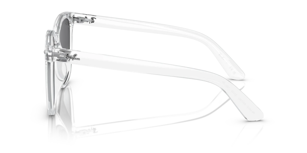 Ray Ban RB4401D 64478G Güneş Gözlükleri