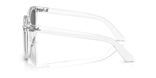 Ray Ban RB4401D 64478G Güneş Gözlükleri