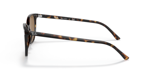 Ray Ban RB2197 902/33 52 Güneş Gözlükleri