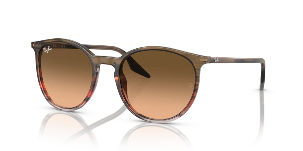 Ray-Ban RB2204 13953B - Güneş Gözlükleri