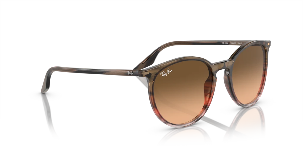 Ray-Ban RB2204 13953B - Güneş Gözlükleri
