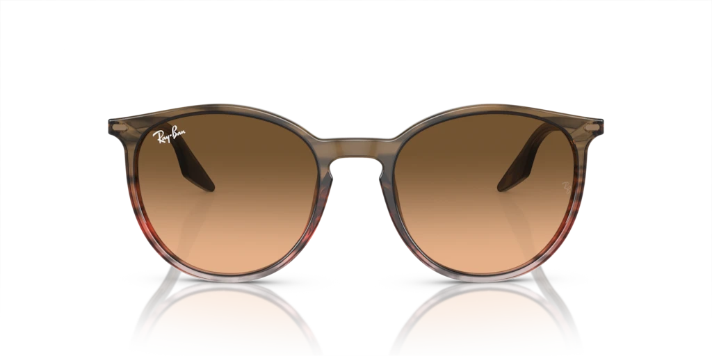 Ray-Ban RB2204 13953B - Güneş Gözlükleri