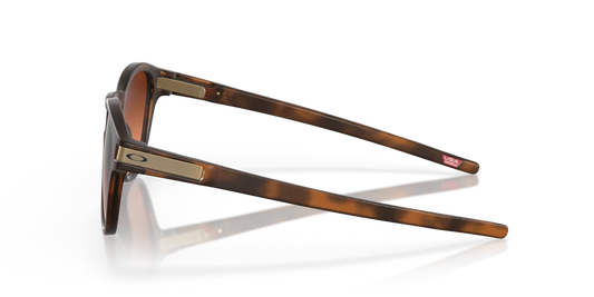 Oakley OO9265 926560 53 Güneş Gözlükleri