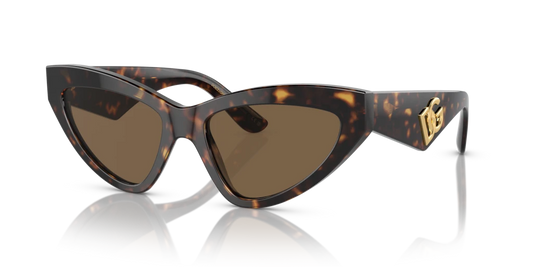 Dolce & Gabbana DG4439 502/73 - 55 - Güneş Gözlükleri