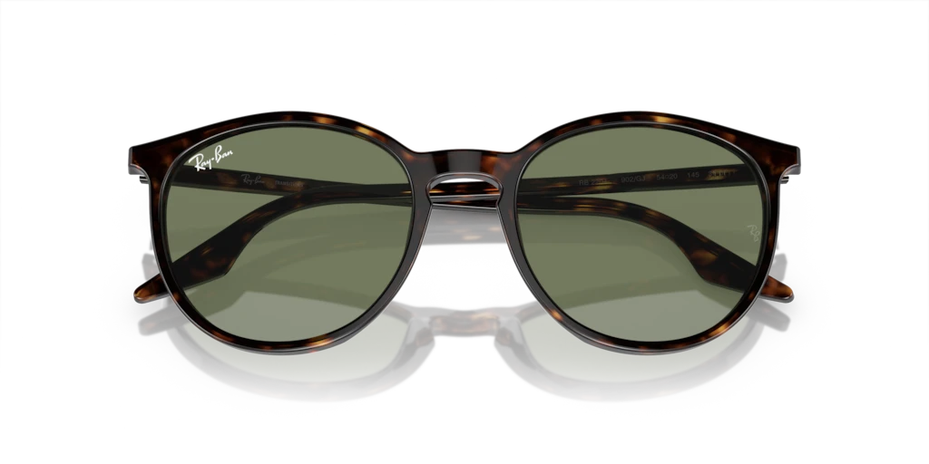 Ray-Ban RB2204 902/GJ - Güneş Gözlükleri