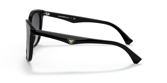 Emporio Armani EA4157 50178G 55 Güneş Gözlükleri