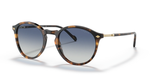 Vogue VO5432S 28194L 51 Güneş Gözlükleri